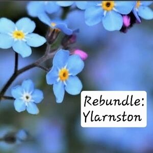 REBUNDLE:  Ylarntson